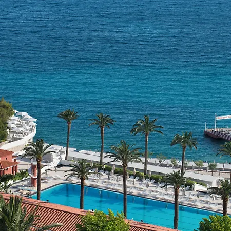 Monte-carlo